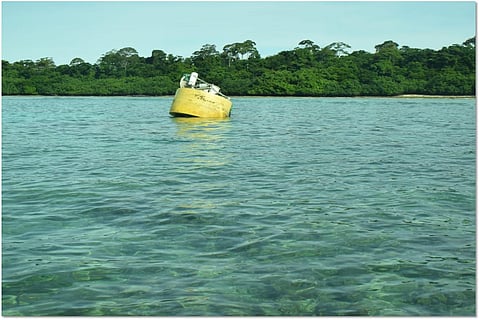 The Thai buoy recovered from the Andaman coast by the Indian Coast Guard