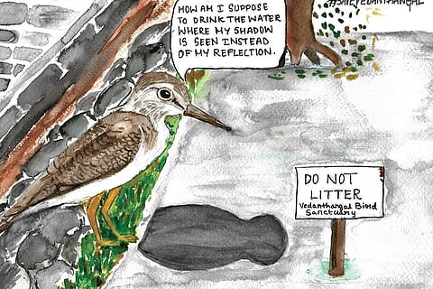 Canvassing to save the sanctuary 