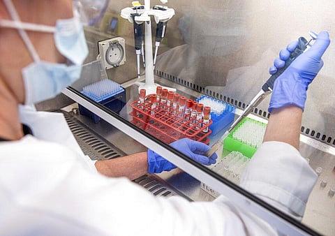 In this handout photo released by the University of Oxford samples from coronavirus vaccine trials are handled inside the Oxford Vaccine Group laboratory in Oxford, England Thursday June 25, 2020. (Photo | AP)