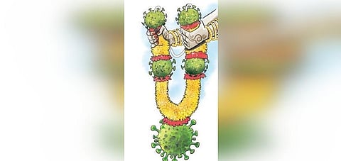 About 60 per cent of profiles are registered by individuals themselves. (photo| Express Illustration)