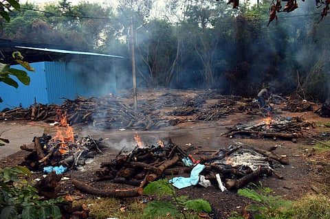 Burial ground image used for representation only