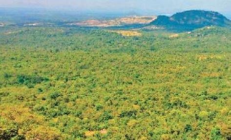 Meanwhile, activists said in Bengaluru that the Centre’s action against websites which had been campaigning against the EIA, 2020 and blocking one of the websites under UAPA, was draconian.