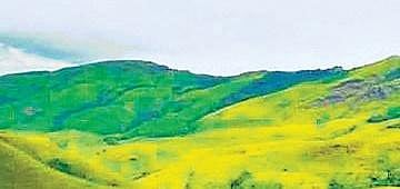 Kudremukh National Park finally gets its ESZ