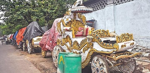 Due to the Covid-19 pandemic, horse-carriage owners have lost their livelihoods, and are unable to even feed their horses, which are in poor condition | VINAY MADAPU