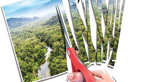 ILLUSTRATION: TAPAS RANJAN