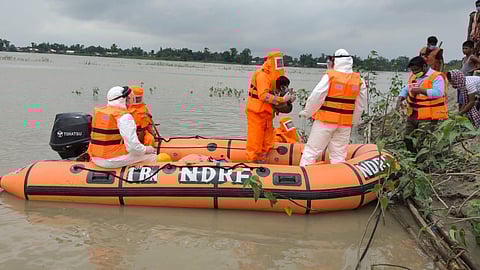 NNDRF team evacuates villagers and livestock from flood-affected areas of Dighirpam Bazar in Barpeta district (Photo | ANI)