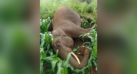 Image used for representational purposes only.