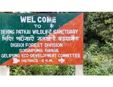 The entrance to Dehing Patkai Wildlife Sanctuary (Photo | EPS)