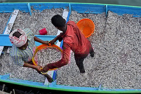 Image for representational purpose only. ( File | EPS)