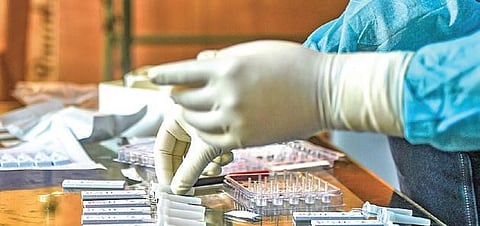 Government calls meet today to discuss COVID vaccine distribution