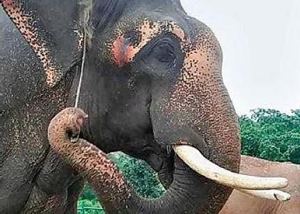 For representational purposes