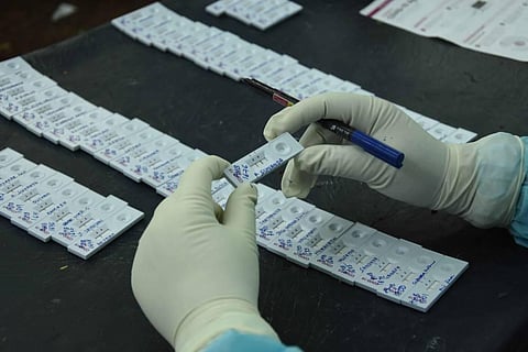 A technician counting the rapid tests done at an UPHC in Hyderabad on Friday. (Photo | RVK Rao/EPS)
