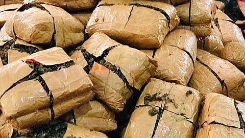 The marijuana was seized in January 2022 by Ormanjhi police during a vehicle check on NH-20.