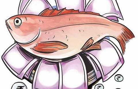 India's seafood export declines by 7.39 per cent in FY 2019-20