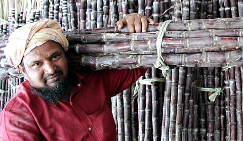 For representational purposes (File Photo | NP Jayan, EPS)