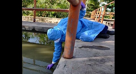 Researchers harvested samples from around 80 percent of the sewage treatment plants in Greater Hyderabad Municipal Corporation limits. (Photo | Express)