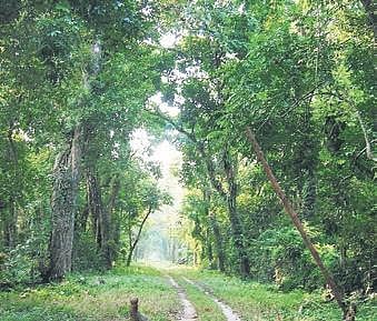 For representational purposes