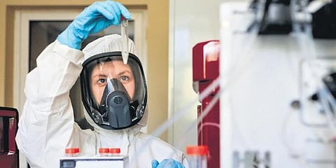 An employee shows a new vaccine in Moscow, Russia. (Photo | AP)