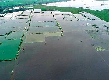 The villagers are worried about their health and safety as water-borne diseases might spread in the area.