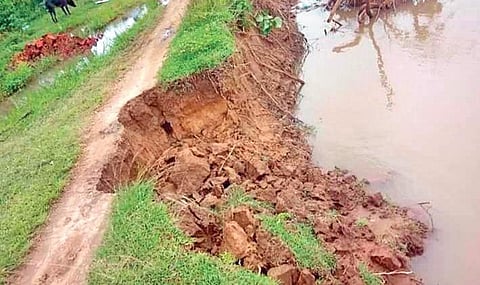 The embankment of Mahanadi river damaged in a village in Jagatsinghpur district. (Photo | EPS)