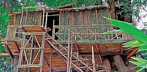 A tree house on the premises of Police Training Centre in Karimnagar