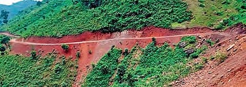 The 3.5 km road laid by the Chintamala villagers in Vizianagaram district | EXPRESS