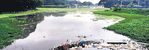 Manganahalli Lake in pitiful state, residents write to CM Yediyurappa