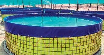 Biofloc based farming is a new technology for promotion of intensive fish/shrimp production in a limited area without significantly increasing the usage of the basic natural resources of water and lan