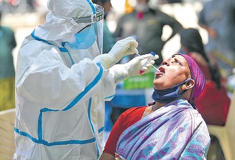 A Pourakarmika gives her sample for a Covid-19 test in Bengaluru | meghana sastry