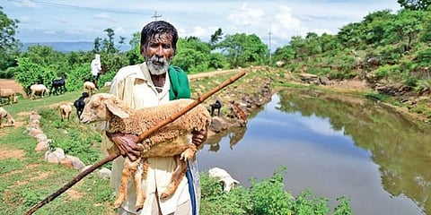 Pondman Kaamegowda (Photo | EPS)