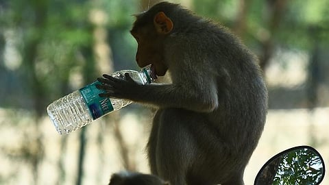 Image used for representational purposes only. 