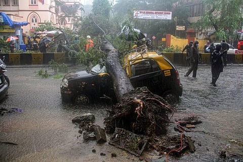 Firemen and police personnel carry out relief works after an uprooted tree fell on a taxi due to heavy monsoon rains in Mumbai on Wednesday. (Photo | PTI)