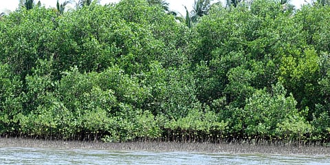 For representational purposes (Photo | EPS)