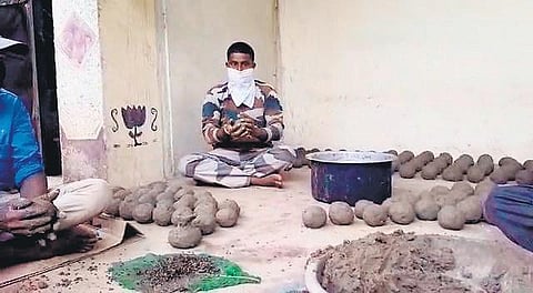 As elephants love to feed on bamboo shoots, the initiative may stop them from raiding human habitations in search of food.