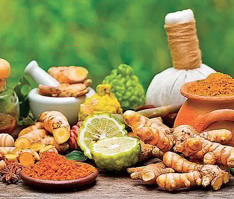 Is Ayurveda magic working? Study focuses on quarantined persons