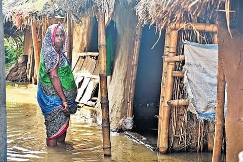 A woman stands outside her house at Patunia in Dharmasala block | Express