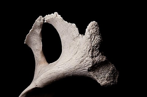 For representational purposes