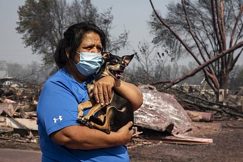 Dora Negrete holds her dog Scoovy, standing by her destroyed mobile home at the Talent Mobile Estates as wildfires devastate the region. (Photo | AP)