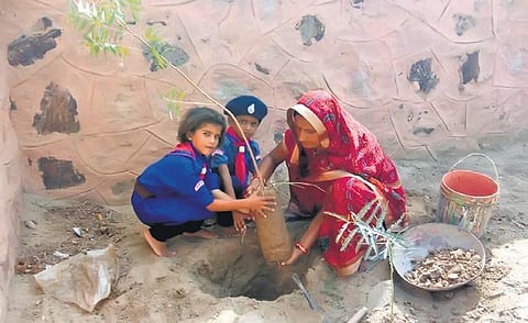 Geeta Solanki with her students planting a tree.
