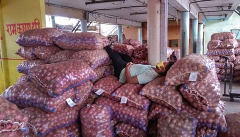 An onion trader takes a siesta at his godown on Tuesday (Photo | PTI)