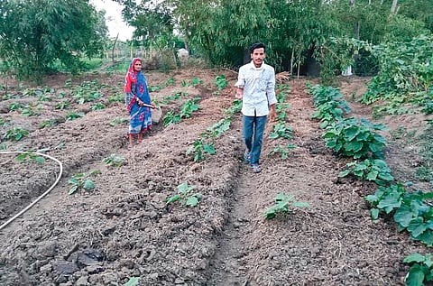 A couple in their kitchen garden in Kendrapara district | Express