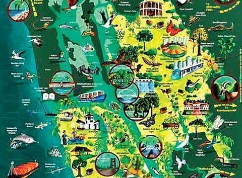 Kochi first Kerala city to find place in biodiversity index