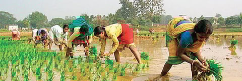 Central government revises minimum wages for casual workers