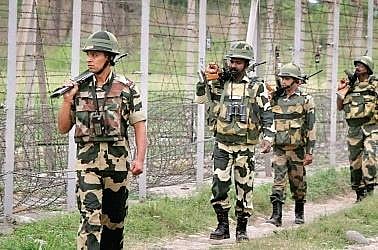 Farming at Zero Line after 18 years