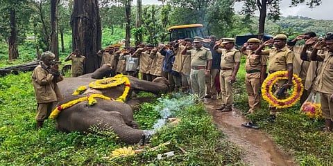 41-year-old Kalpana laid to rest at Kozhikamuthi camp