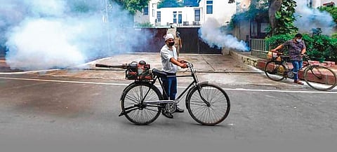 The primary work of fumigation, screening of houses and identifying breeding spots are done by the municipal corporations.