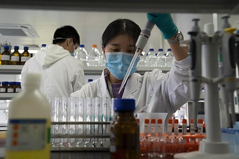 An employee of SinoVac works in a lab at a factory producing its SARS CoV-2 Vaccine for COVID-19 named CoronaVac in Beijing. (Photo | AP)