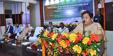 Chhattisgarh Governor Anusuiya Uike (Photo | Twitter /@GovernorCG)