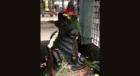 Nandi idol installed in Lord Shiva temple (Representational Photo | EPS)