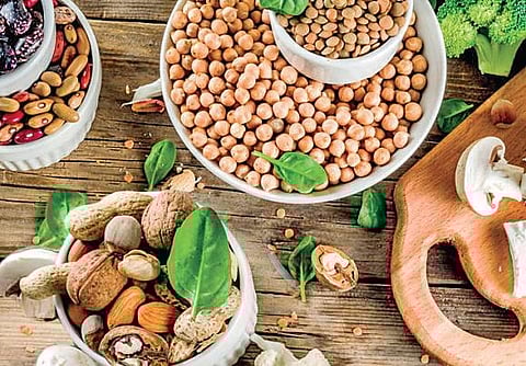 Poultry, meat, nuts.